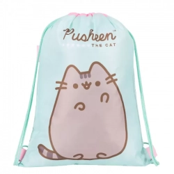 PUSHEEN PYTLÍK / VAK